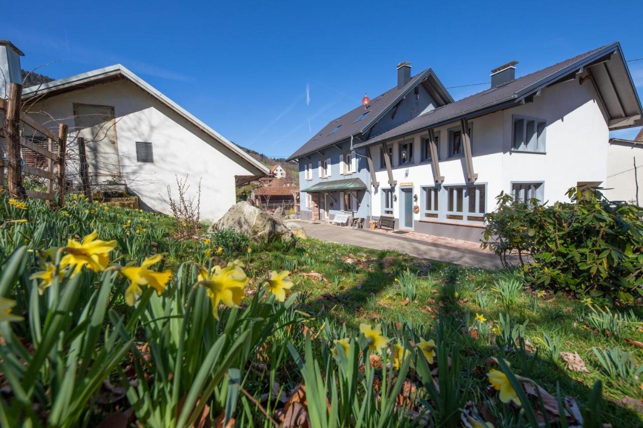 Locations Des 3 Sommets Avec Sauna Et Spa En Alsace Sondernach Exterior foto