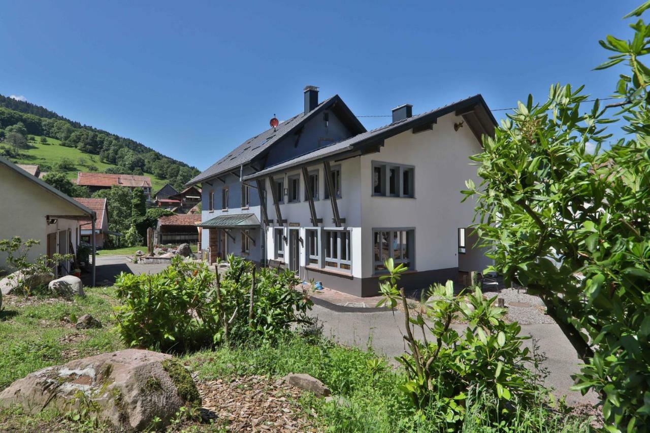 Locations Des 3 Sommets Avec Sauna Et Spa En Alsace Sondernach Exterior foto