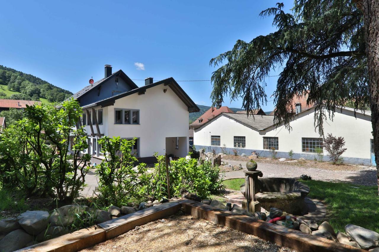 Locations Des 3 Sommets Avec Sauna Et Spa En Alsace Sondernach Exterior foto